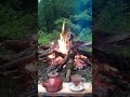 Campfire Sounds with Distant Cow Bells – Pure Calm#Campfire #ASMR