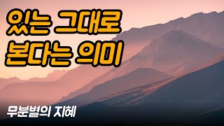 깨달음을 얻어 방황을 끝낸 후, 깨닫게 된 것 | 무분별의 지혜, 김기태