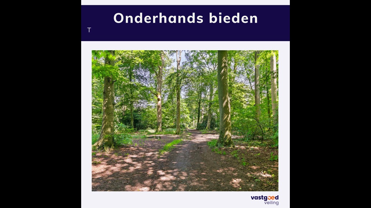 Landhuis Endymion  | Koepellaan 2 te Bloemendaal