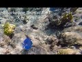 Snorkeling sambo reef key west        by bill klipp