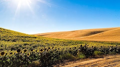 Panorama Merge Within Lightroom Classic CC