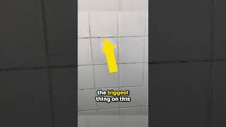 How to Prevent Mold Growth in Showers