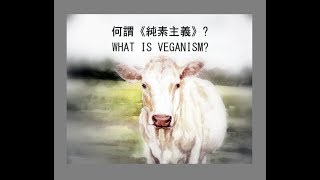 何謂「純素主義」？為什麼選擇純素生活？What Is Veganism? Why Vegan?