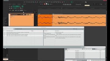 Reaper: dummy toggles (create custom UI toggles using cycle actions)