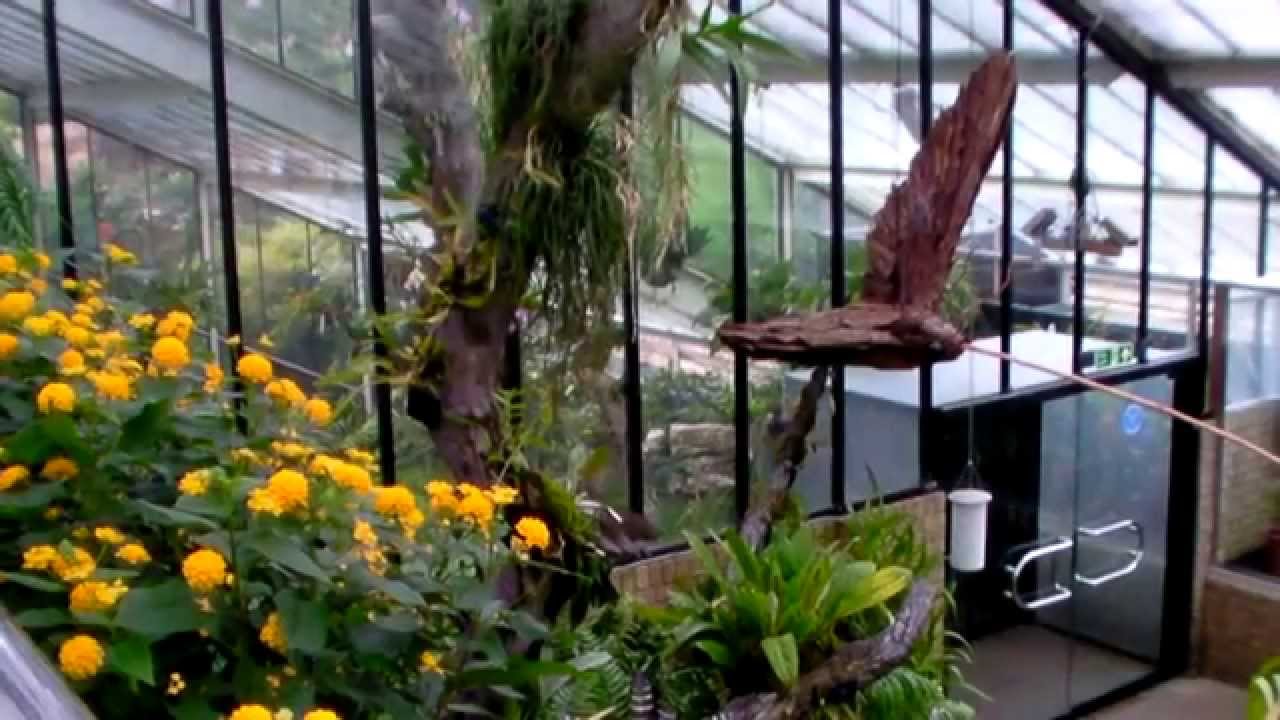 Amazing Places At Kew Gardens - YouTube