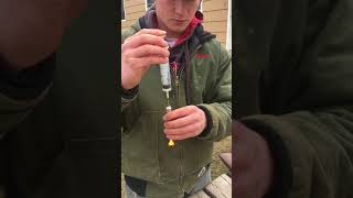 IMG 0301