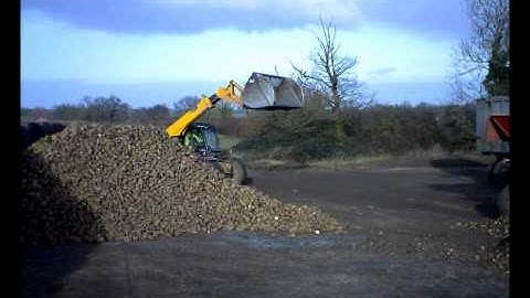 loading beet all day.wmv