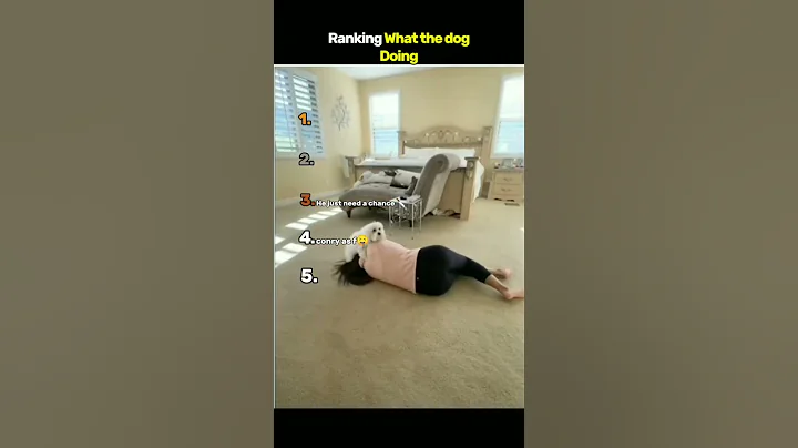 Ranking fake fainting prank on dog #funny #shorts #prank