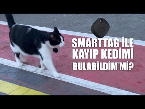 Video: Sevgililer Günü, Evcil Hayvanınızın Mükemmel Tarihini Nasıl Kazıtabilir?