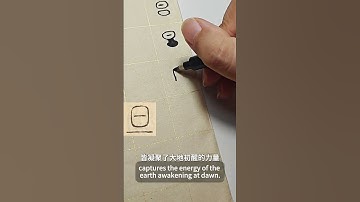 The evolution of Chinese characters - - Dan#chineseart #calligraphy #chinesecharacters