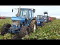 Ford 4610 & 6710 Pulls Case IH 105U Out of DEEP MUDHOLE During Sugarbeet Harvest | DK Agri