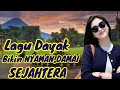 LAGU DAYAK BIKIN NYAMAN,DAMAI, SEJAHTERA