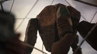 How Do Eridians Sleep? Uncovering The Unique Sleep Habits In Project Hail Mary