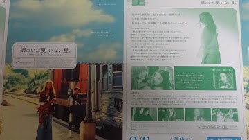 姉のいた夏、いない夏 (2001) 映画チラシ キャメロン・ディアス ジョーダナ・ブリュースター    カミーラ・ベル