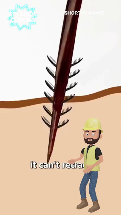 lebah madu akan mati setelah menyengat anda #shortvt #zackdfilm #trending