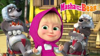 masha bear 2026 who s best nanny best episodes cartoon collection