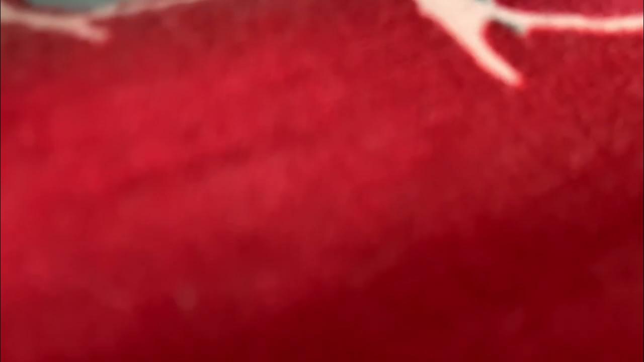 stomach-rumbling-sound-effect-hd-youtube