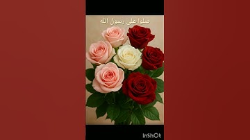 سورة الكهف #جمعة مباركة#🌹🌸🌸🌸🌸🌸🌸🌹🌹🌹🌹💕💕💕💕💕💕