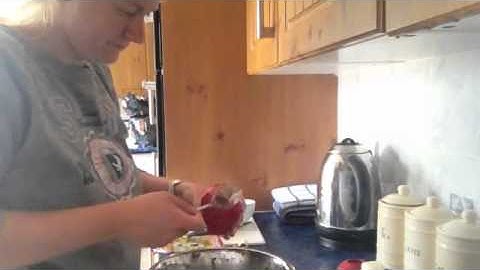 Use of Kongs for Errorless Learning