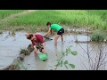 Amazing Fishing at Pailin Province - Cambodia Traditional Fishing - Khmer  Net Fishing (Part 285)