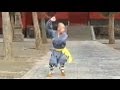 Shaolin Kung Fu: big power form