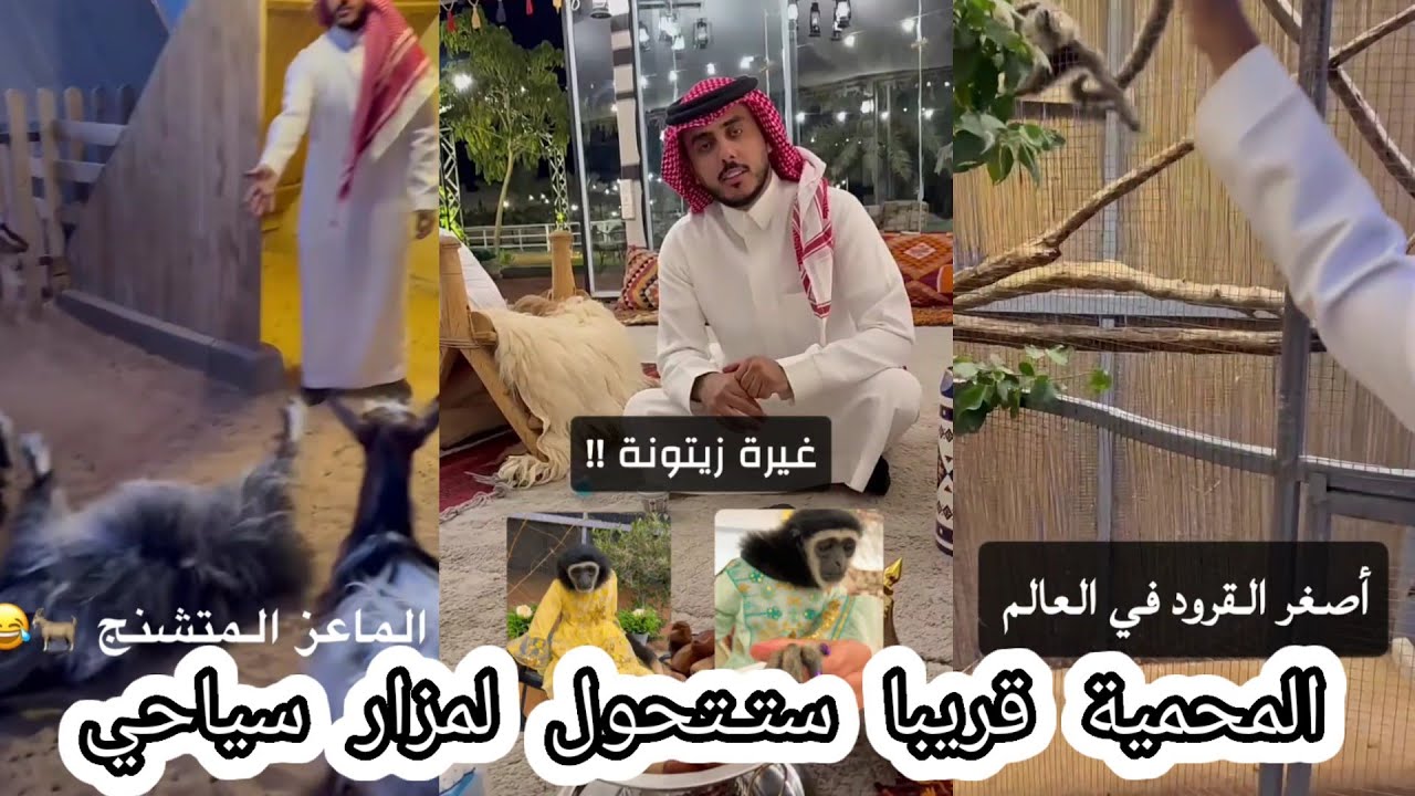 زيارة حمدي الفريدي لمحمية أسامة الدغيري | حيوانات لاول مره تشوفها ومعلومات جميلة