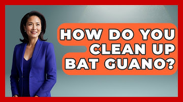 How Do You Clean Up Bat Guano? - Insects and Invaders