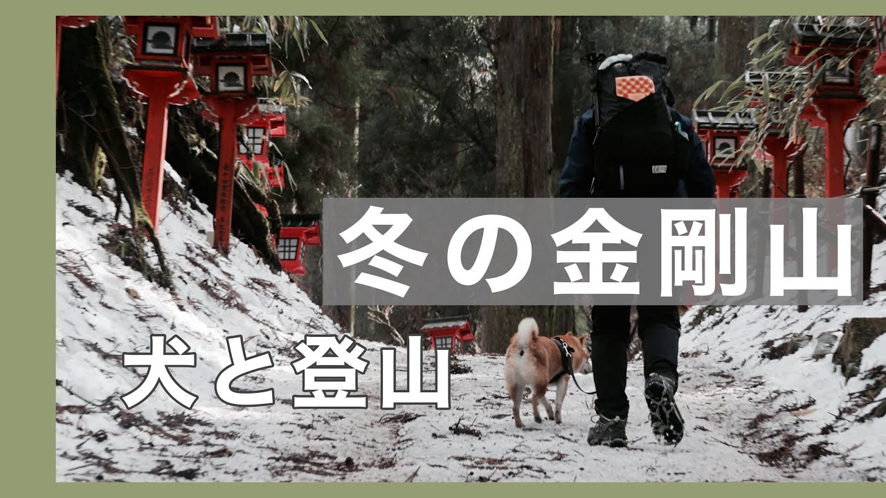 【犬連れ登山】冬の金剛山 寺谷ルート〜文殊尾根（大阪・奈良）