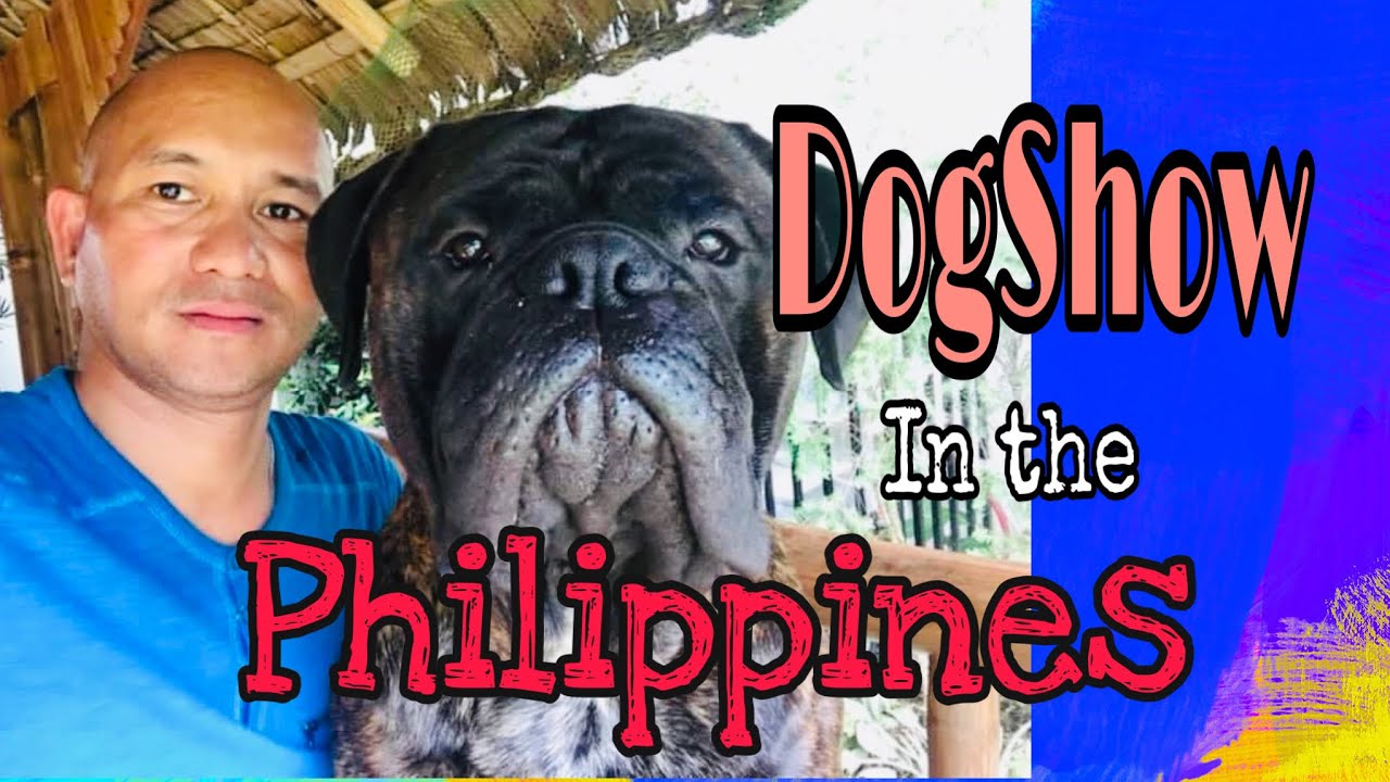 Dog Show Philippines