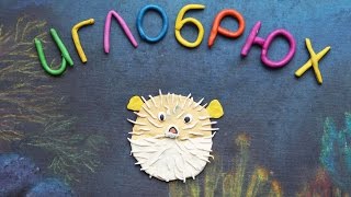 Иглобрюх. Пластилиновый познавательный мультфильм. Tetraodon. Plasticine Animation.