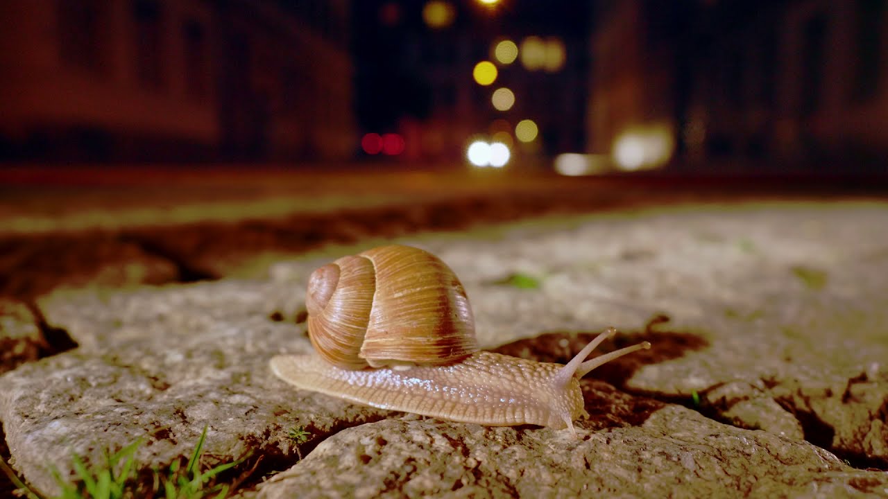 PREMIERE! - DER ERSTE WERBECLIP ZUR "WOCHE DES GUTEN LEBENS" IST ONLINE