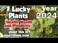 7 Lucky Plants for Home and Workplace in 2021 (Health, Wealth, and Prosperity)