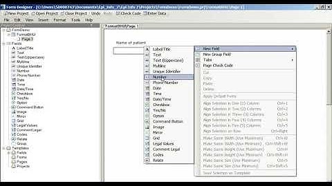 Creating Data Entry Forms Questionnaires in Epi Info 7