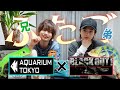 双子の弟、初登場！大型爬虫類イベントに２人で行って購入品紹介してみた！