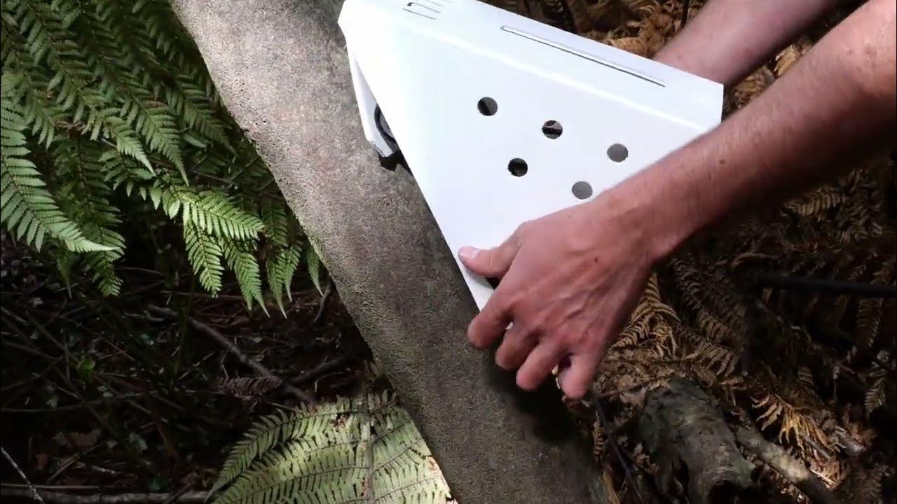 How to Set a SENTINEL Possum Trap YouTube