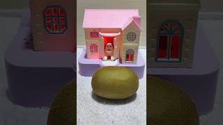 Smart Puppy Peep At Kiwi