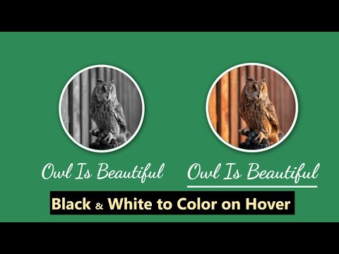black & white to color on hover | html css | 2021