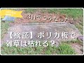 【検証】ポリカ板で雑草は枯れる？3日間の実験＋猫たちの観察記［vol.259］