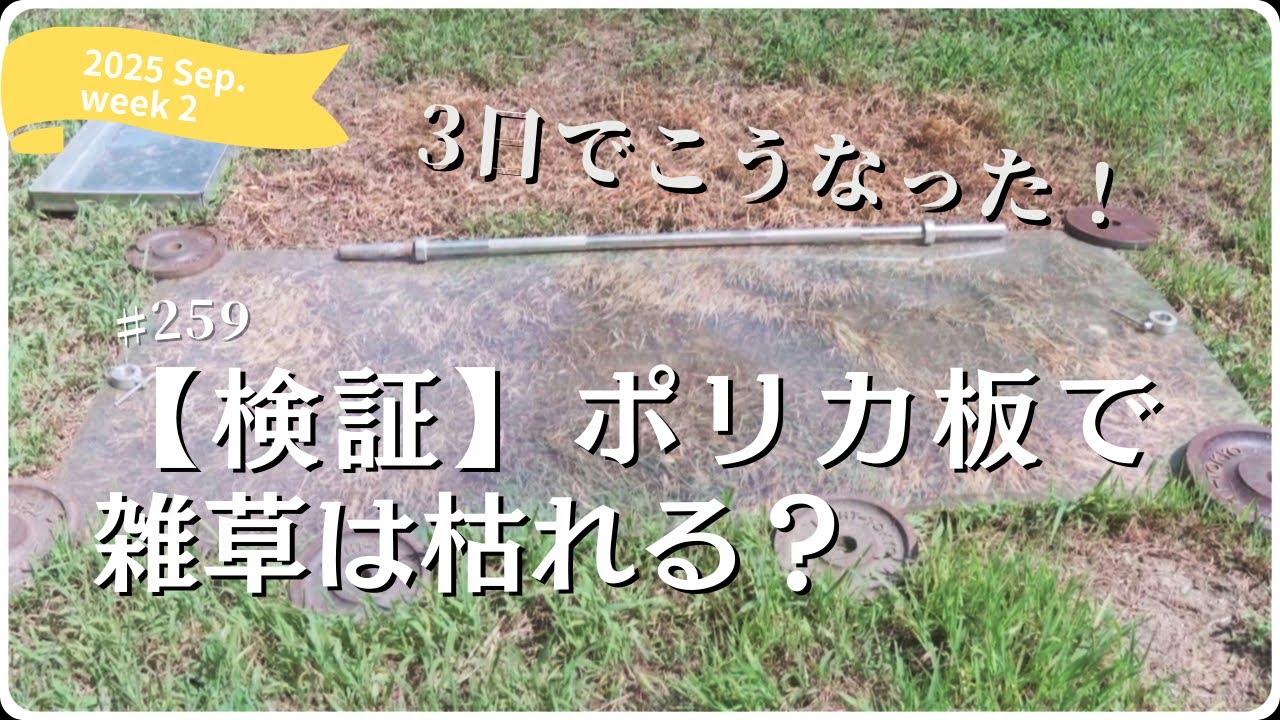 Verification] Does polycarbonate board kill weeds? 3-day 