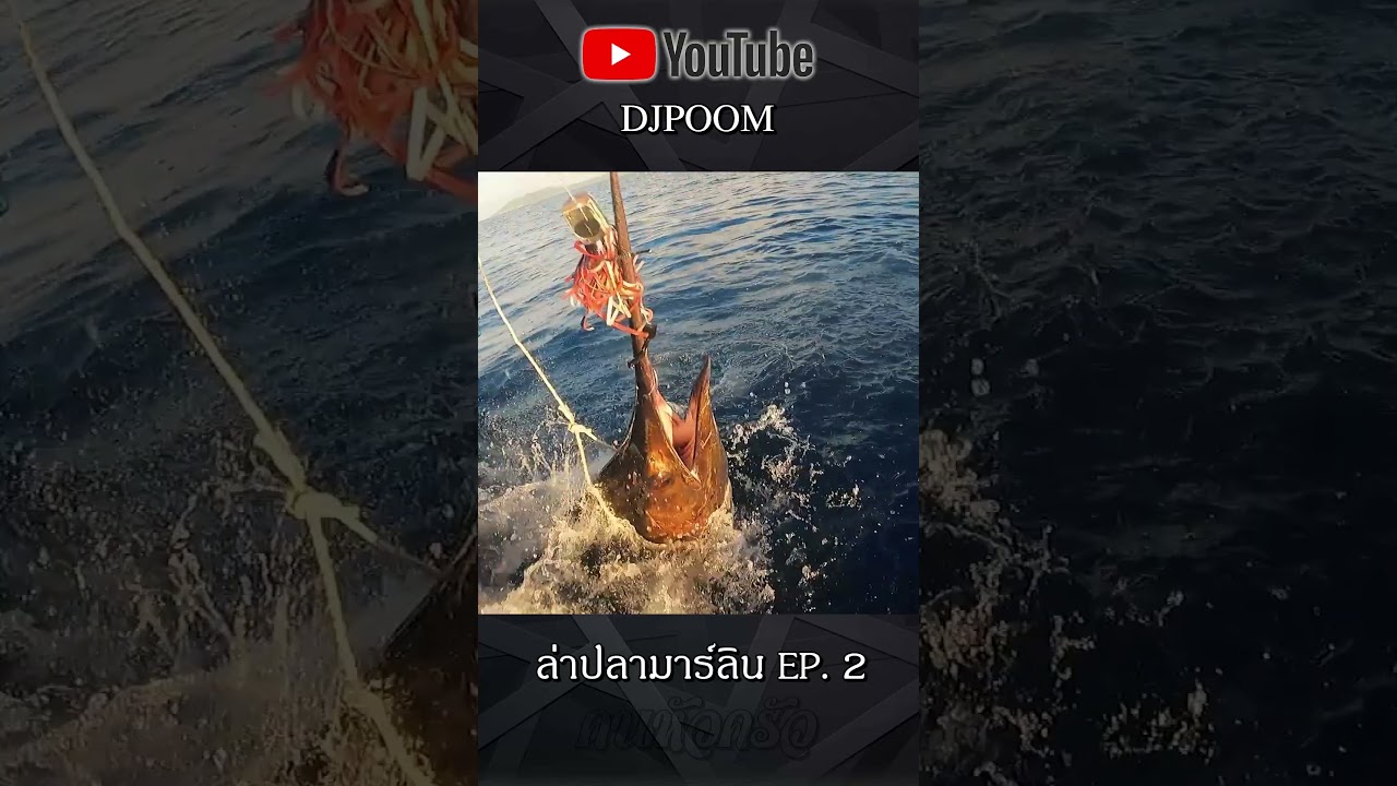 ล่าปลามาร์ลิน ใหญ่ที่สุดในชีวิต !! EP.2 #คนหัวครัว #ดีเจภูมิ  #มาร์ลิน #marlinfishing