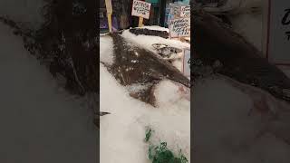 #seafood #pikeplacemarket #seatlle