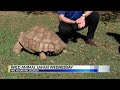 122221 Wild Animal Safari Wednesday 0600