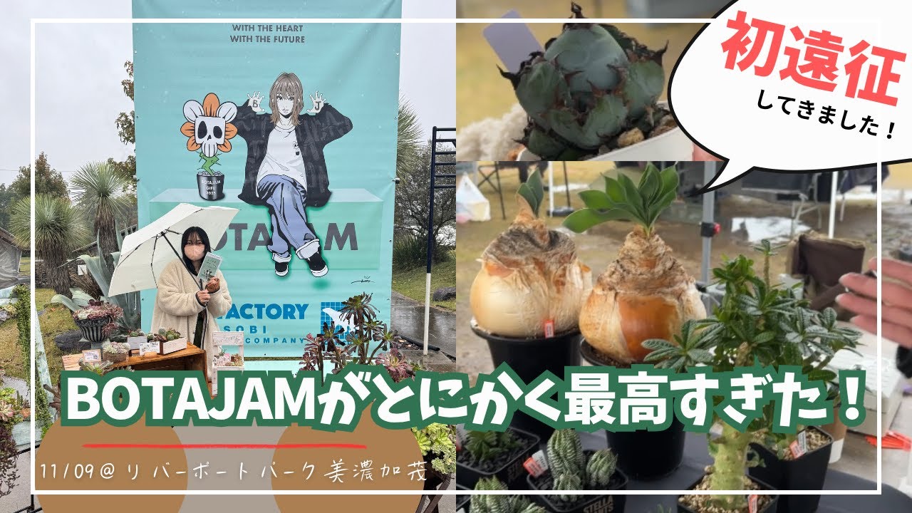 【初遠征】岐阜最大の植物イベント？！BOTAJAMで出店＆レビュー♪