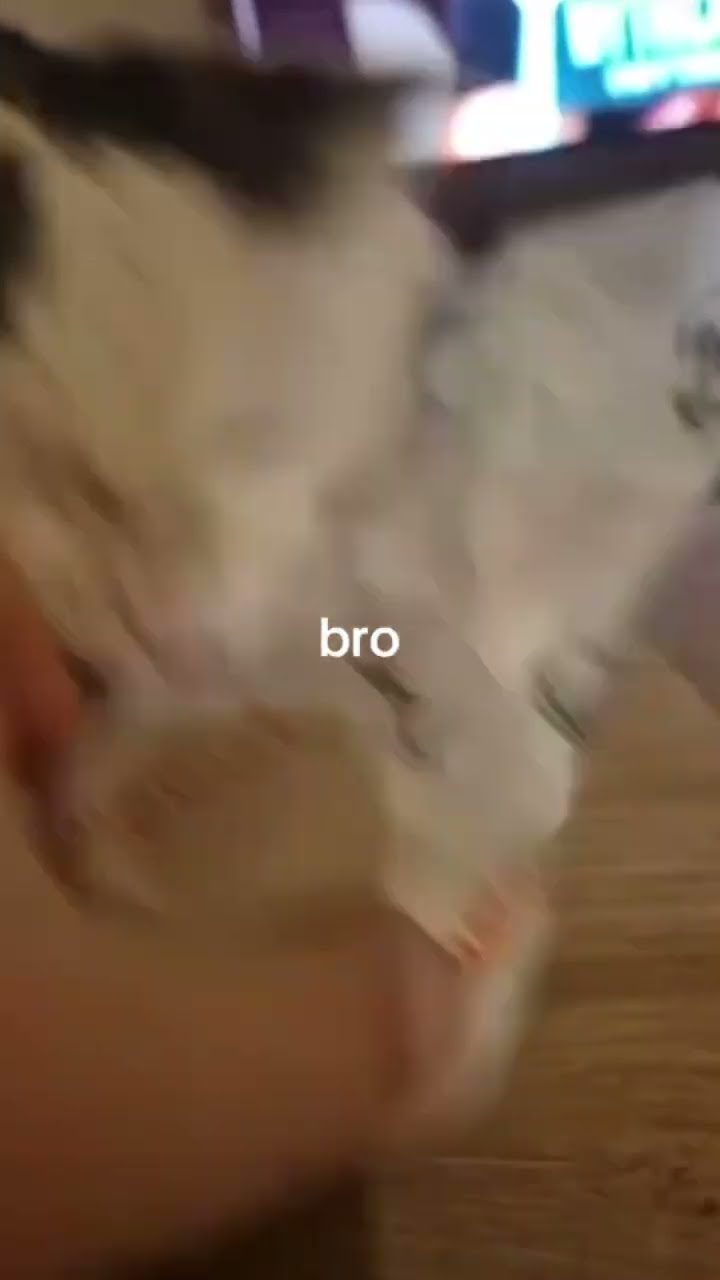 Kittyo like brah im like mad hungry turn on prvnci
