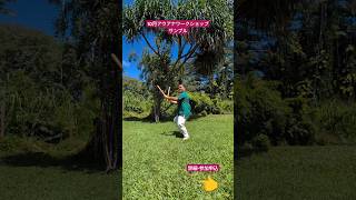 プイリ　【フラダンス】　交渉OK プイリ | AlohaOutlet (アロハアウトレット)
