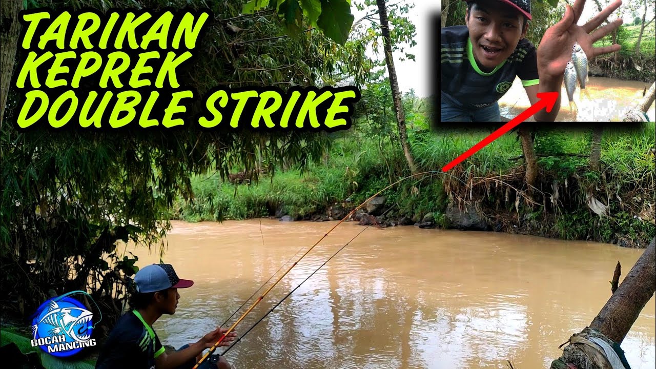 Mancing Kepek/Keprek Teknik Ombyokan
