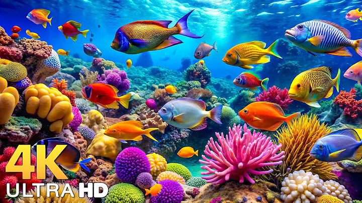 Marvel at Sea Animal in The Best 4K ULTRA HD Aquarium -Dive Into The Mesmerizing Underwater Realm #2