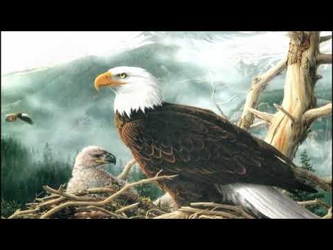 იგავი - არწივი და ინდაური