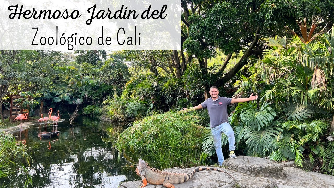 Conoce el IMPRESIONANTE JARDÍN DEL ZOOLÓGICO DE CALI