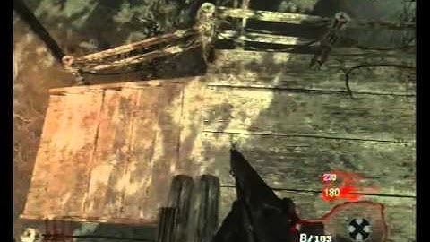 COD Black Ops: Glitches - Shi No Numa out of Map & Unlimited ammo*No Lagswitch*